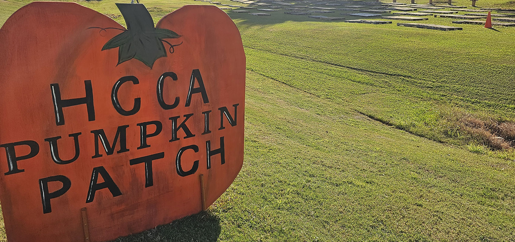 pumpkin patch day