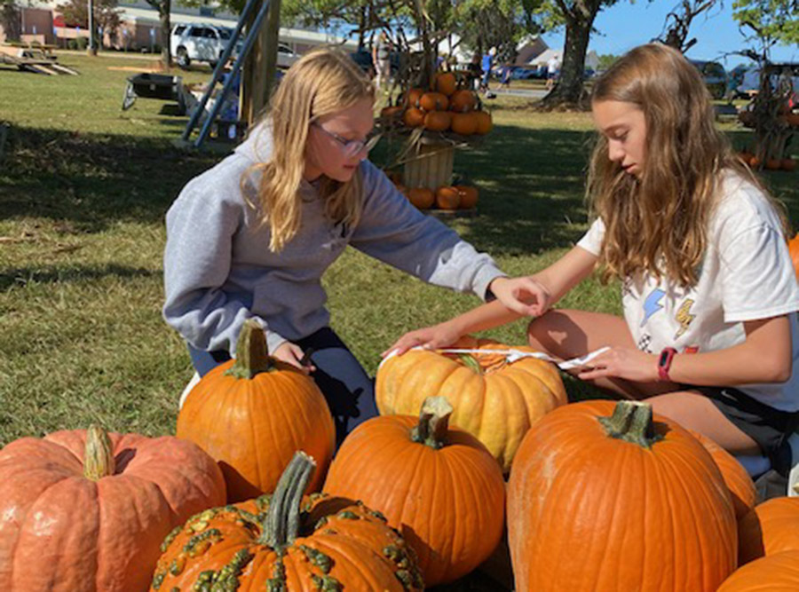 pumpkin-patch-2