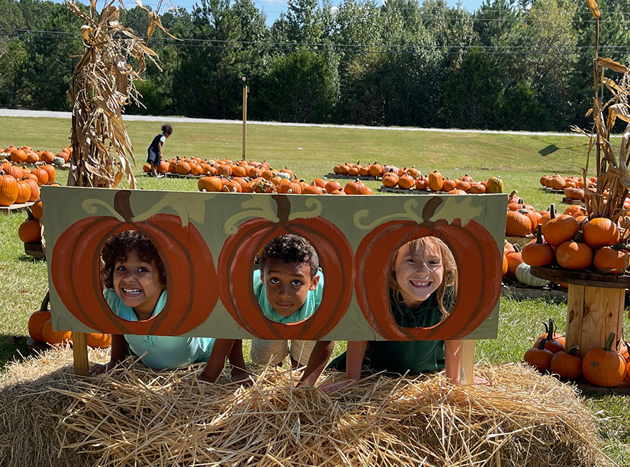 Pumpkin Patch